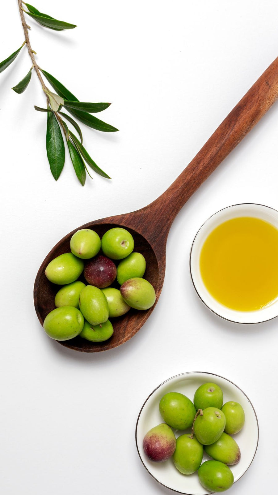 Extra Virgin Olive Oil Myths vs Facts