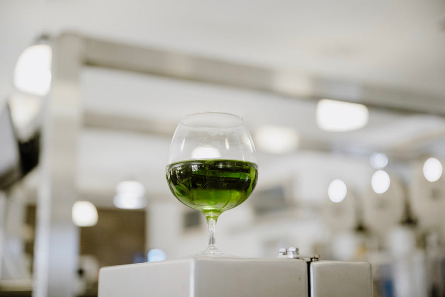Navigating the World of Olive Oil: Separating Fact from Fiction